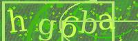 Visual Confirmation Code