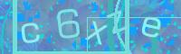 Visual Confirmation Code