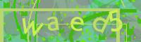 Visual Confirmation Code