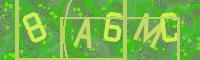Visual Confirmation Code