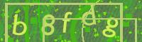 Visual Confirmation Code
