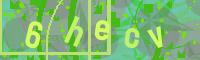 Visual Confirmation Code
