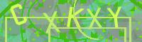 Visual Confirmation Code