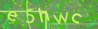 Visual Confirmation Code