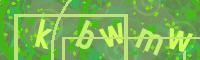 Visual Confirmation Code