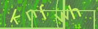 Visual Confirmation Code