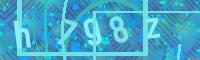 Visual Confirmation Code