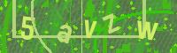 Visual Confirmation Code
