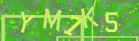 Visual Confirmation Code