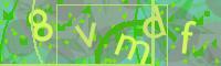 Visual Confirmation Code