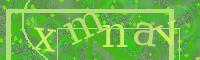 Visual Confirmation Code