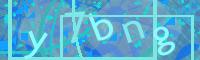 Visual Confirmation Code