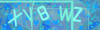 Visual Confirmation Code