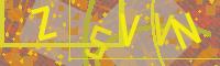 Visual Confirmation Code