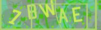 Visual Confirmation Code