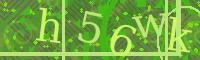 Visual Confirmation Code