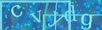 Visual Confirmation Code