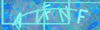Visual Confirmation Code