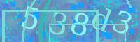 Visual Confirmation Code