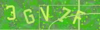Visual Confirmation Code