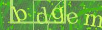 Visual Confirmation Code
