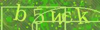 Visual Confirmation Code