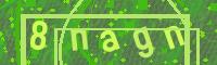 Visual Confirmation Code